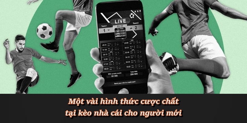 Các loại kèo phổ biến tại F8BET dành cho người mới